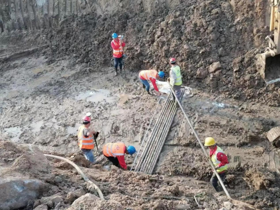 深耕“生態綠” 奮戰“開門紅”0320(1)(1)411.png