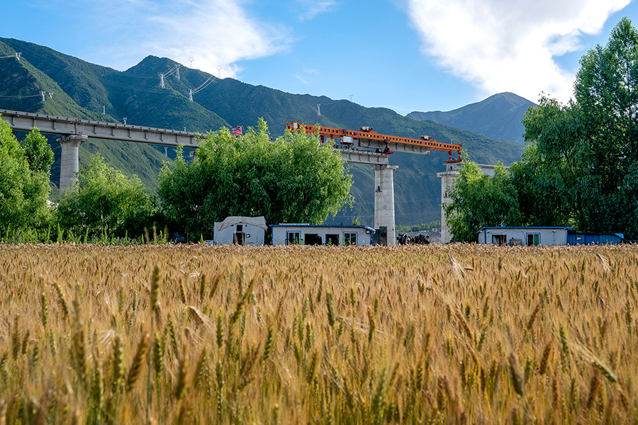此次完成的拉林鐵路雅魯藏布江最后一跨——加查1號特大橋位于山南市加查縣境內，全長1135米，由29孔32米簡支T梁和168米的連續梁組成。該橋位于加查水電站下游，受降雨、風速等水域小氣候影響明顯。圖為中鐵十一局拉林鐵路架梁隊正在架設加查1號特大橋。（丁慶濱 攝）