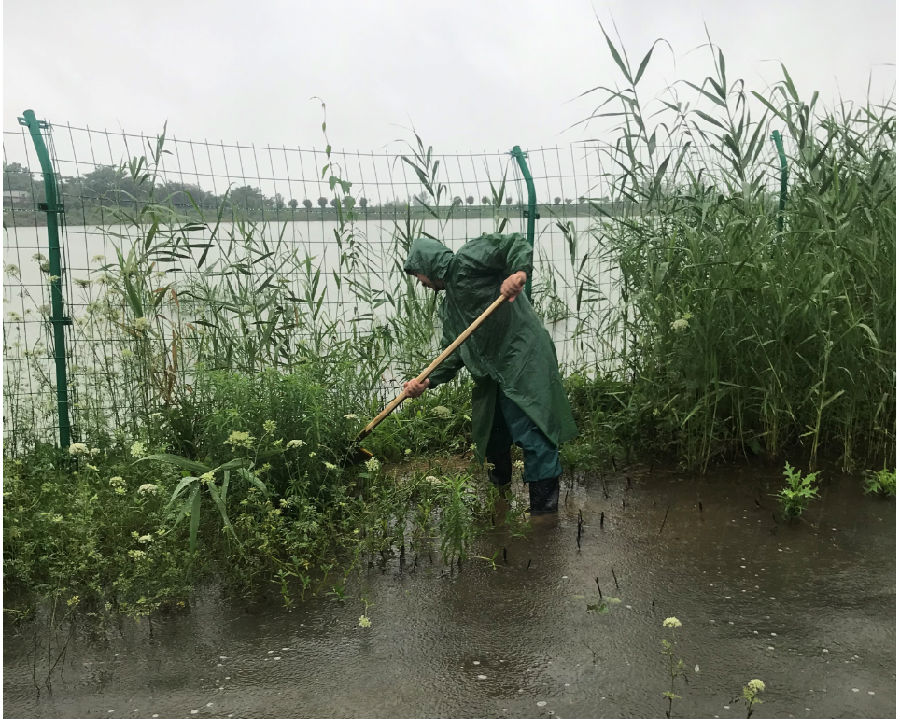 圖為近日，中節能太陽能公司防汛保電現場。