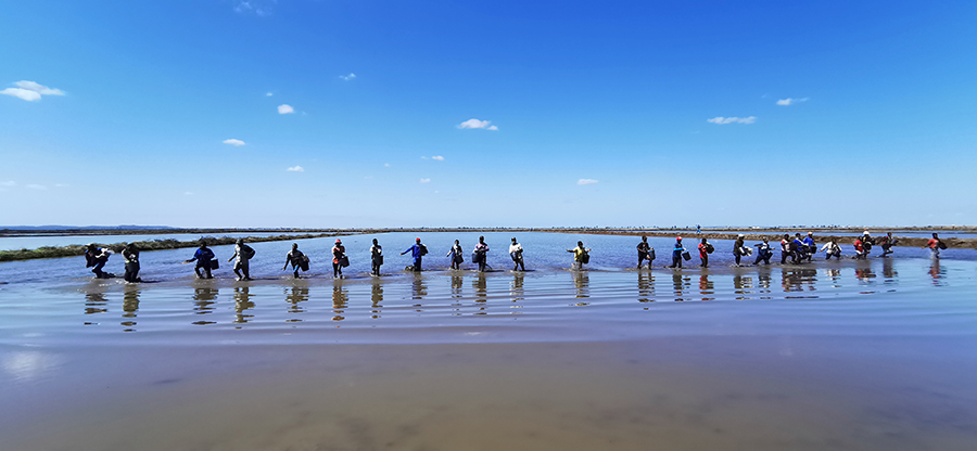 “目前，我們采用無人機等農業現代化技術，有效保證水稻質量、提高水稻產量。”項目負責人胡計高介紹，在開拓水稻種植面積的同時，項目還新建了1座泵站，采用水直播和旱直播相結合的方式，有效提高水稻播種效率，實現提質增效。圖為員工播撒稻種。