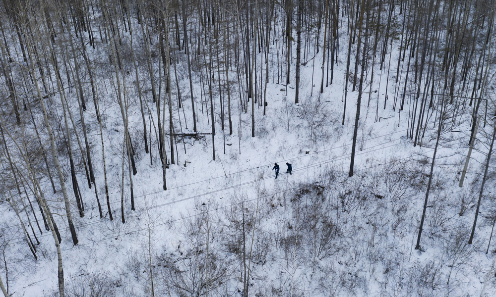 位于中國“北極”漠河市的北極村，2007年之前只能靠小柴油發電機供電。接入國家電網后，北極村成立了中國最北的供電所——北極供電所。所長呂建生和抄表員王少亭是所里僅有的兩名員工。圖為1月12日，呂建生和王少亭在北極村附近的山林中進行電力巡線。（新華社記者 謝劍飛 攝）